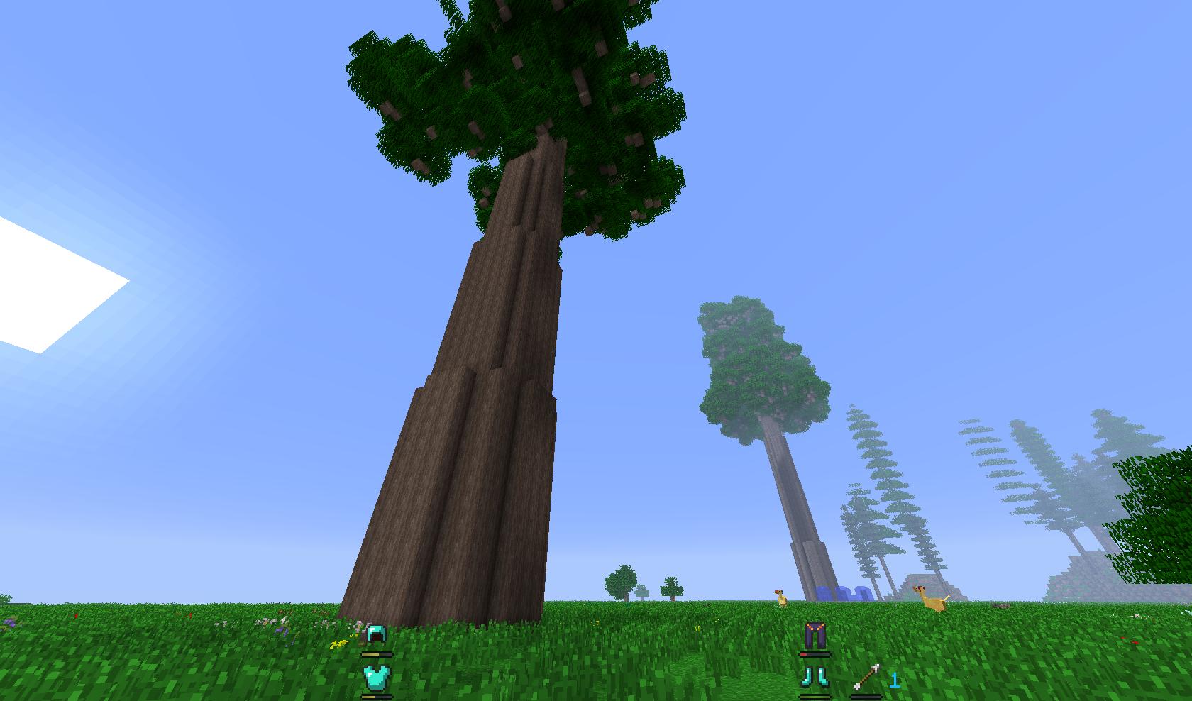 Огромное дерево майнкрафт. Секвойя дерево майнкрафт. Майнкрафт Секвойя Forestry. Мод на секвойю в майнкрафт. Гигантское дерево в МАЙНКРАФТЕ.