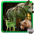 Real Jungle Hunting Animals