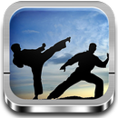 Guía de Tai Chi APK