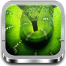 Serpientes y reptiles APK