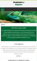 Serpientes y reptiles-poster