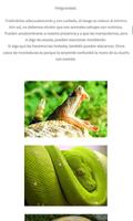 1 Schermata Serpientes y reptiles