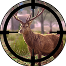 Deer Hunting Sniper Shooting APK