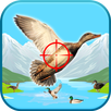 Duck Hunting 3D Game APK