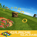Guide Sonic Dash APK