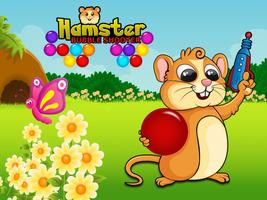 hamster Bubble Shooter Cartaz