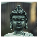 Buddha Wallpaper NEW aplikacja