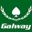 Galway Poker Festival APK
