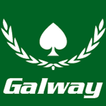 Galway Poker Festival