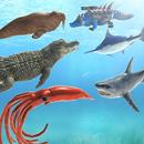 Sea Bataille Animal Kingdom: S APK