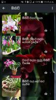 මල් වගාව - Flower Planting स्क्रीनशॉट 1
