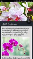 මල් වගාව - Flower Planting capture d'écran 2