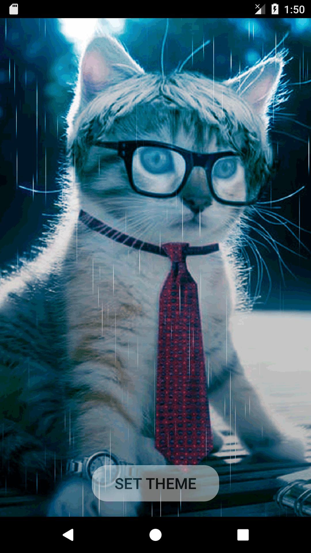 Tema Kucing Lucu Imut Animasi Bergerak For Android Apk Download