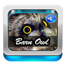Barn Owl Sound APK