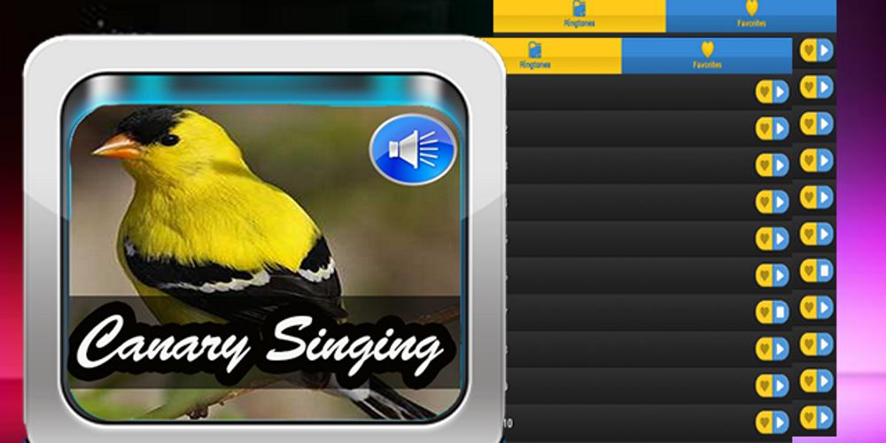 Android canary Android canary