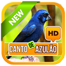 Canto De  Azulão APK