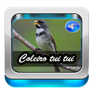 Canto De Coleiro Tui Tui APK