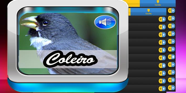 Baixar Audio De Coleiro Tui Tui Coleiro Tui Tui Puro Classico Para Android Apk Baixar