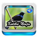 Suara Kolibri Ninja APK