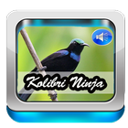 Suara Kolibri Ninja icône
