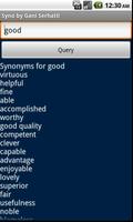 Syno Synonym Finder постер