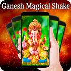 Automatic Changing Ganesh Live Wallpaper icône