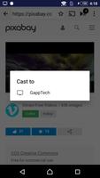 برنامه‌نما Web Video Cast Chromecast عکس از صفحه