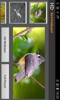 HD Bird Wallpaper capture d'écran 1