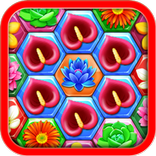 Flower Hexa Puzzle Fever 2018