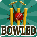 Bowled 3D - Cricket Game APK