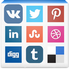 Social Networks - All in One icône