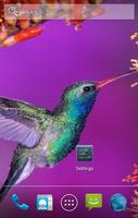 Hummingbird Live Wallpaper capture d'écran 2
