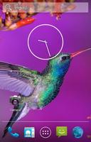 Hummingbird Live Wallpaper capture d'écran 3