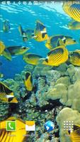 Ocean Fish Live Wallpaper gönderen