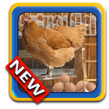 Virtual Chicken