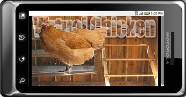Virtual Chicken Affiche