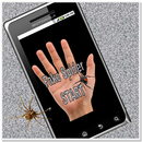 Fake Spider Fun APK