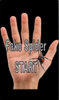 Fake Spider Affiche