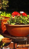 Garden Wallpaper 포스터