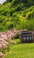 Garden Wallpaper 스크린샷 1
