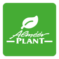 Almeerplant