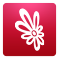 Tuindorado
