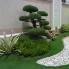 Início Jardim Design Ideas ícone