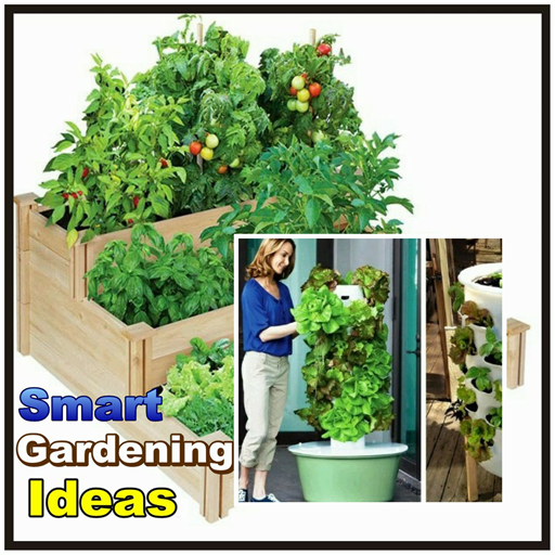 idee intelligenti giardinaggio