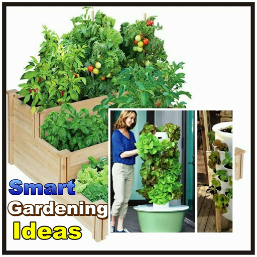 Smart Gardening Ideas