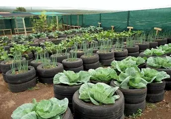 Smart Gardening Ideas APK download