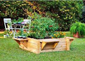 Smart Gardening Ideas اسکرین شاٹ 3