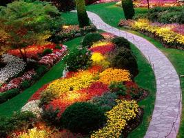 Garden Landscape Design syot layar 3