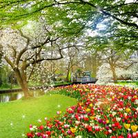 Beautiful Garden Wallpaper-poster