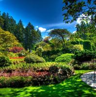 Beautiful Garden Wallpaper captura de pantalla 2